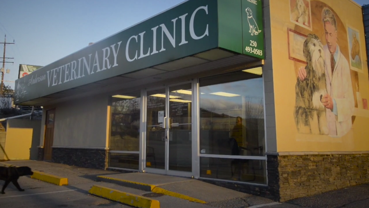 Anderson Veterinary Clinic about