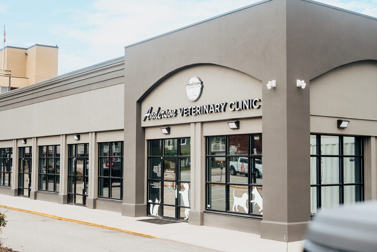Anderson Vet Clinic In Penticton, BC Anderson Veterinary Clinic
