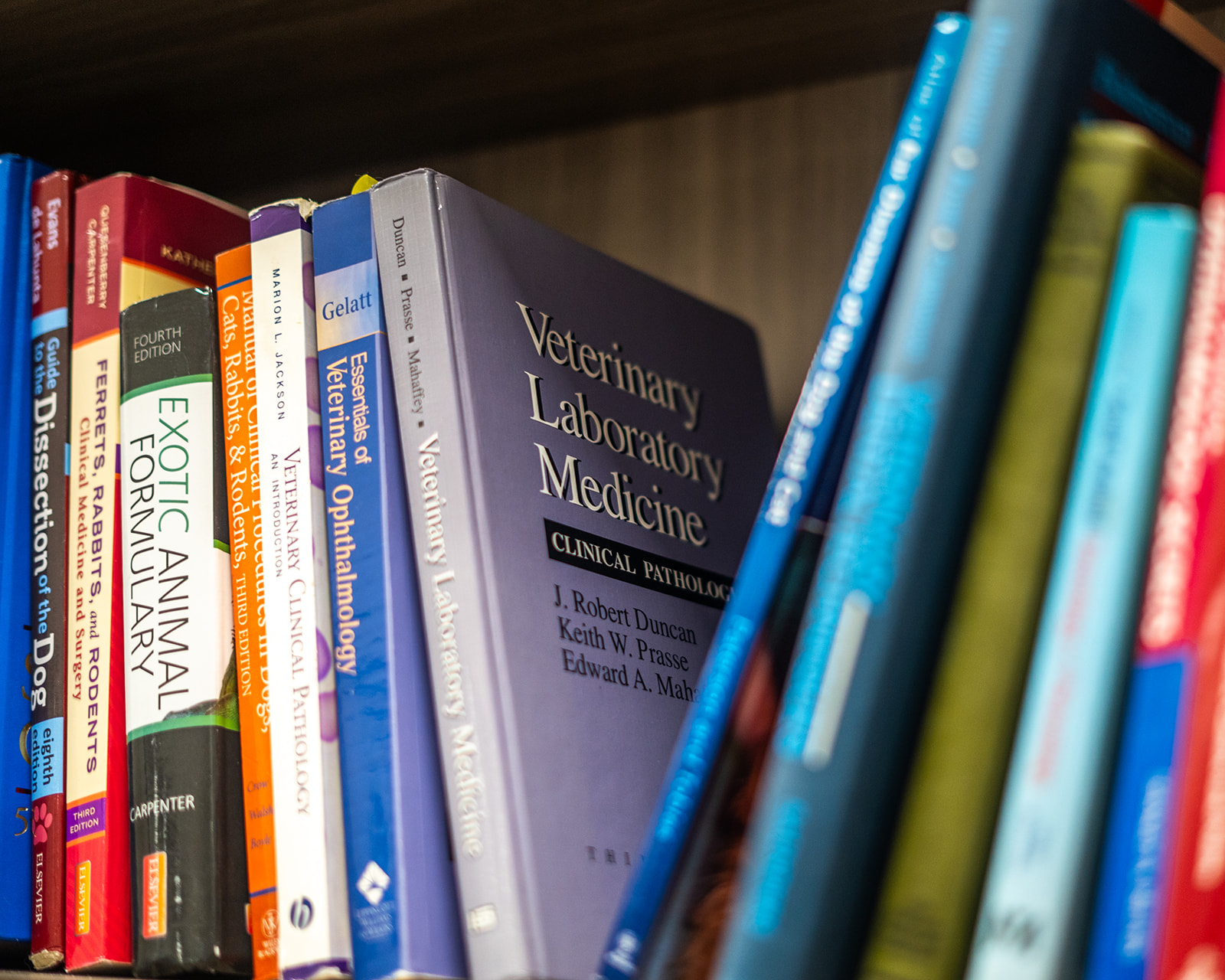 Resources Anderson Veterinary Clinic